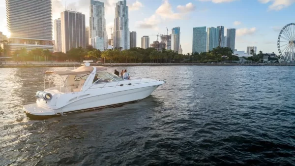 SeaRay 44 " - Image 2