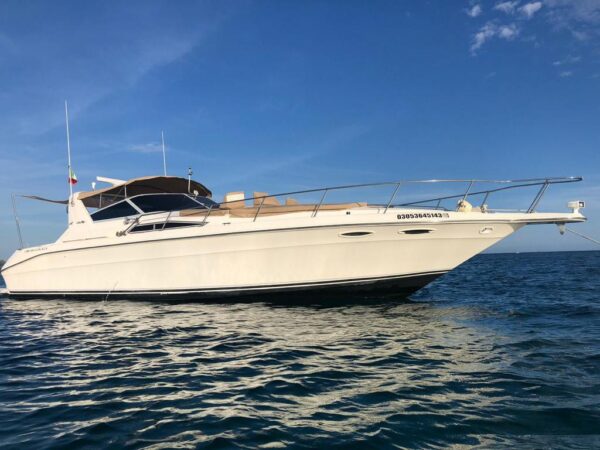 SeaRay 42"