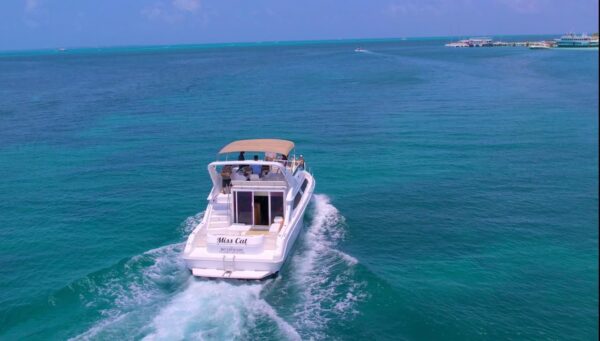 SeaRay 46 - Image 7