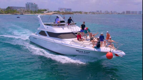 SeaRay 46 - Image 3