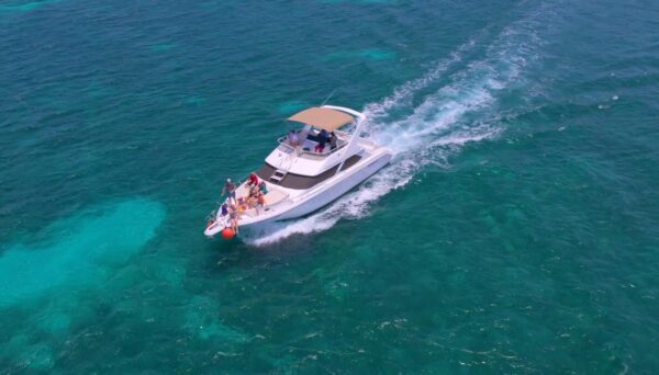 SeaRay 46