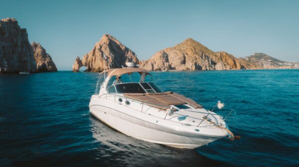 SeaRay 32"