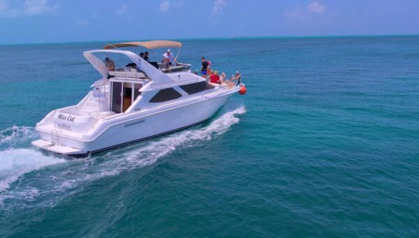 SeaRay 46 - Image 2